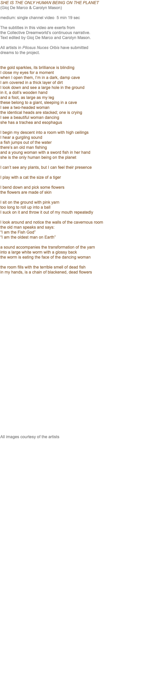 SHE IS THE ONLY HUMAN BEING ON THE PLANET (Gioj De Marco & Carolyn Mason) medium: single channel video 5 min 19 sec The subtitles in this video are exerts from the Collective Dreamworld’s continuous narrative. Text edited by Gioj De Marco and Carolyn Mason. All artists in Pilosus Nuces Orbis have submitted dreams to the project. the gold sparkles, its brilliance is blinding I close my eyes for a moment when I open them, I’m in a dark, damp cave I am covered in a thick layer of dirt I look down and see a large hole in the ground in it, a doll’s wooden hand and a foot, as large as my leg these belong to a giant, sleeping in a cave I see a two-headed woman the identical heads are stacked; one is crying I see a beautiful woman dancing she has a trachea and esophagus I begin my descent into a room with high ceilings I hear a gurgling sound a fish jumps out of the water there’s an old man fishing and a young woman with a sword fish in her hand she is the only human being on the planet I can’t see any plants, but I can feel their presence I play with a cat the size of a tiger I bend down and pick some flowers the flowers are made of skin I sit on the ground with pink yarn too long to roll up into a ball I suck on it and throw it out of my mouth repeatedly I look around and notice the walls of the cavernous room the old man speaks and says: “I am the Fish God” “I am the oldest man on Earth” a sound accompanies the transformation of the yarn into a large white worm with a glossy back the worm is eating the face of the dancing woman the room fills with the terrible smell of dead fish in my hands, is a chain of blackened, dead flowers All images courtesy of the artists 